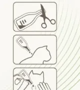 Снимка на Beaphar Cat Spot On Repels Fleas - Капки против бълхи за котки и котенца над 12 седмици, 3 пипети 3