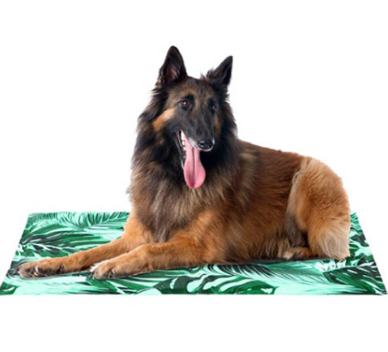 Снимка на Freedog Cooling Pad Bed Savannah - Охлаждаща постелка легло за кучета и котки, 50/40 см.