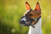 Снимка на Freedog Ergo Plus Muzzle XXLARGE - Силиконов намордник за кучета 2