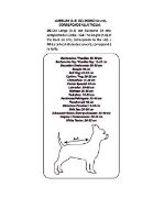 Снимка на Croci Grunge - Модерна риза за кучета, 30 см. 2