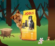 Снимка на Josera JosiDog Economy - Премиум суха храна за израснали кучета с пилешко и свинско месо, 15 кг. 2