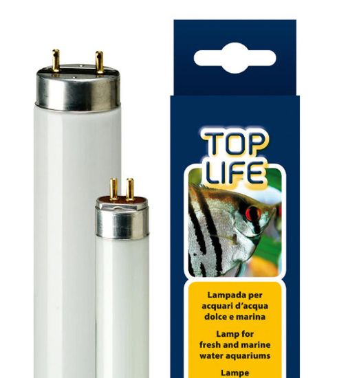 Снимка на Ferplast Neon lamp for fresh and seawater aquariums - Неонова лампа за сладководни и морски аквариуми, 54W, 5T, 1,6 x 115 см.