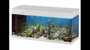 Снимка на Ferplast - Оборудван аквариум Ferplast DUBAI 120 LED, 240 литра, 121 x 41 x h 56 см. 2