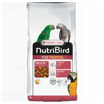Показвай детайлите за Versele-Laga Nutribird P19 Tropical - Пълноценна храна за големи папагали при развъждане – екструдирани пелети – многоцветни с тропически вкус, 10 кг. 1 - MyPetShop.bg Снимка на Versele-Laga Nutribird P19 Tropical - Пълноценна храна за големи папагали при развъждане – екструдирани пелети – многоцветни с тропически вкус, 10 кг. 1