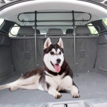 Показвай детайлите за Duvo Plus -  Преградна решетка за автомобил от 2 елементи, 85-140 см / 75-110 см. 1 - MyPetShop.bg Снимка на Duvo Plus -  Преградна решетка за автомобил от 2 елементи, 85-140 см / 75-110 см. 1