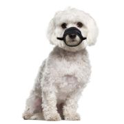 Снимка на Flamingo Muzzle soft XS - Регулируем намордник за кучета, 30-42 см., обиколка на носа - 13-17 см. 2