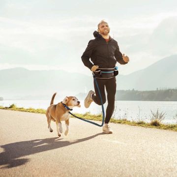 Показвай детайлите за Duvo Plus Jogging belt with leash - Колан с повод за кучета за спорт, 140x4x13 см. 1 - MyPetShop.bg Снимка на Duvo Plus Jogging belt with leash - Колан с повод за кучета за спорт, 140x4x13 см. 1