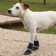 Снимка на Ferplast Dogs Shoes XXL - Защитни обувки тип чорап за кучета, 2 броя, 10 x 11 x h 14 см. - черни 2