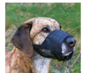 Снимка на Trixie Muzzle S/М - Регулируем намордник за кучета от малки и средни породи 17-23см 1