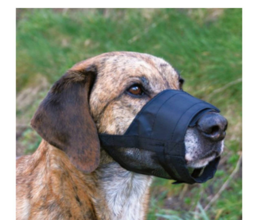 Снимка на Trixie Muzzle S/М - Регулируем намордник за кучета от малки и средни породи 17-23см