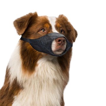 Показвай детайлите за Duvo Plus Safety Dog Muzzle S - Регулируем намордник за кучета , 43-64 см. 1 - MyPetShop.bg Снимка на Duvo Plus Safety Dog Muzzle S - Регулируем намордник за кучета , 43-64 см. 1