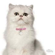Снимка на My Family Cat Tag  - Ръчно изработен адресник , Бяла Персийска котка 2.1 см/ 2.0 см. 2