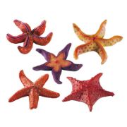 Снимка на Ferplast - Marine stars - Декорация за аквариум във форма на морска звезда, - опаковка 1 брой, 9 x 9 x h 2,5 см. 2