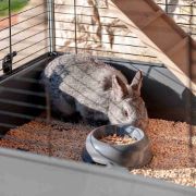 Снимка на Ferplast - Cage Rabbit 100 Double - Двуетажна оборудвана клетка за зайци 99 / 51.5 / 92 см. 3