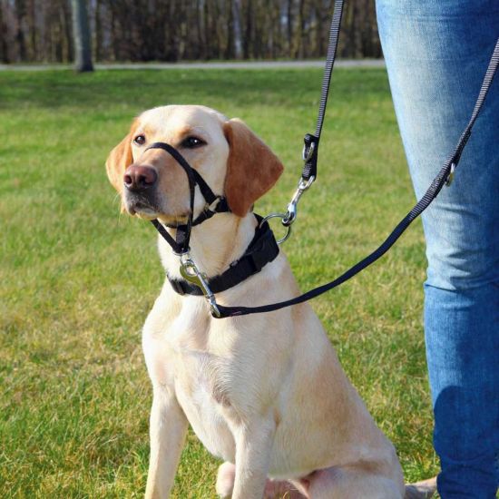Снимка на Trixie Top Trainer training harness - комплект за обучение, за кучета с обиколка на врата 40 - 48 см.