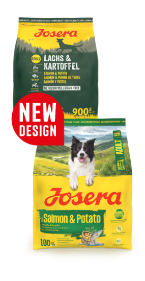 Снимка на Josera Salmon & Potato – беззърнева суха храна със сьомга и картофи за кучета с чувствителен стомах и кожа, 12.5 кг