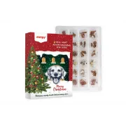 Снимка на Wanpy Christmas Calendar 150 г – Коледен календар за кучета с асорти натурални месни лакомства 2