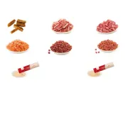 Снимка на Wanpy Christmas Calendar for Cats – Коледен календар с асорти лакомства за котки, 100 г 2