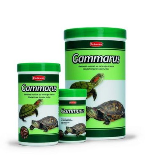 Снимка на Padovan Gammarus Храна за костенурки със скариди 12 гр./100 мл.