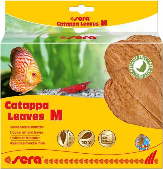 Sera Catappa Leaves Medium - Листа от индийски бадем, натурален подобрител