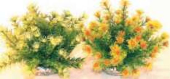 Sydeco Marina Bowl-Растение за аквариум, 21 см.