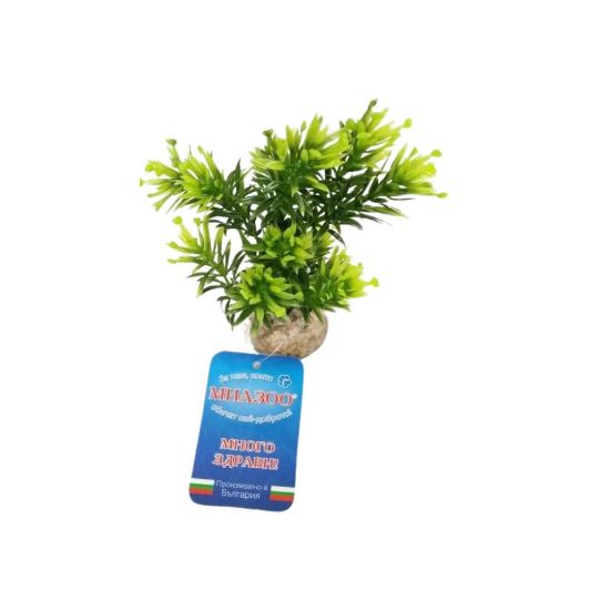 Sydeco Papirus Medium -Растение за аквариум 15 см.