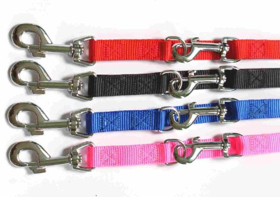 Миазоо - Повод за кучета , изкуствена лента 1.5/200 см. син