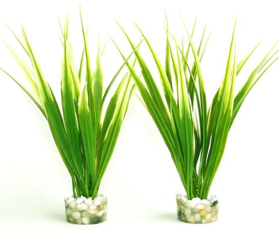 Saydeco Oasis Baby - Декоративно растение за аквариум, 16 см.