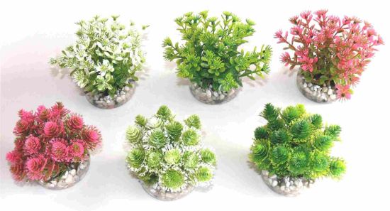 Sydeco Nano Bush Natural-Растение за аквариум 9 см.