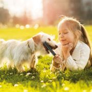 Beaphar Dental Sticks Small -Лакомство за кучета, дентални пръчки за свеж дъх и чисти зъби със спирулина и зелен чай 2