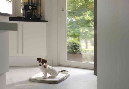 Savic - Хигиенен комплект със седем сменяеми подложки за малки кученца, 45 х 30 см.