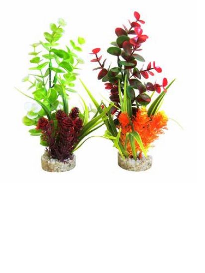 Sydeco Eucalyptus Bouquet - Декоративно растение за аквариуми, 22 см.