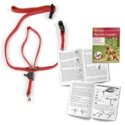 Beaphar Gentle Leader - Повод срещу дърпане за кучета от дребни породи, червен 2