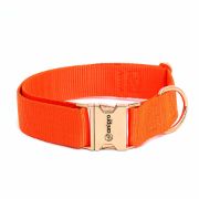 Anipro Extra Strong Rose Gold - Регулируем нашийник за кучета, лента, 40мм/45см-70см - оранжев с тока розово злато 1