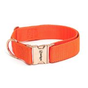 Anipro Extra Strong Rose Gold - Регулируем нашийник за кучета, лента, 40мм/45см-70см - оранжев с тока розово злато 2