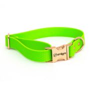 Anipro Hexagon - Регулируем нашийник за кучета, водоустойчива лента хексагон 25мм/35-55см неоново зелен с тока розово злато 2