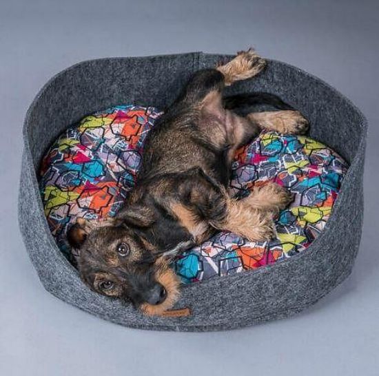 Amiplay Hyge Large - Комфортно и модерно легло за кучета и котки, 61/53/21 см.