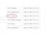 Amiplay Bronx - Модерно яке за кучета, 37 см. - синьо 3