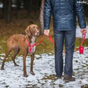 Amiplay Samba - Диспенсър за хигиенни торбички с удобна закопчалка, 6/2/11 см. - оранжев 2