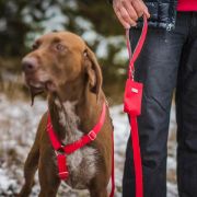 Amiplay Samba - Диспенсър за хигиенни торбички с удобна закопчалка, 6/2/11 см. - червен 3