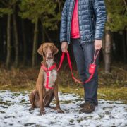 Amiplay Samba - Диспенсър за хигиенни торбички с удобна закопчалка, 6/2/11 см. - червен 4