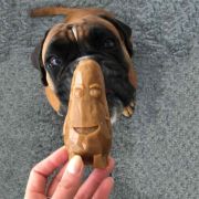 Duvo Plus Garden Bites Veggie Friends - Лакомство за кучета, награда, почиства зъбите и масажира венците, с картофи и витамини 6 см. 270 гр 2