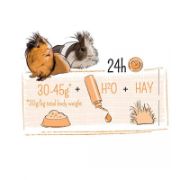 Witte Molen Puur Guinea Sensitive - Пълноценна храна за чувствителни морски свинчета с витамин C 800 гр. 3