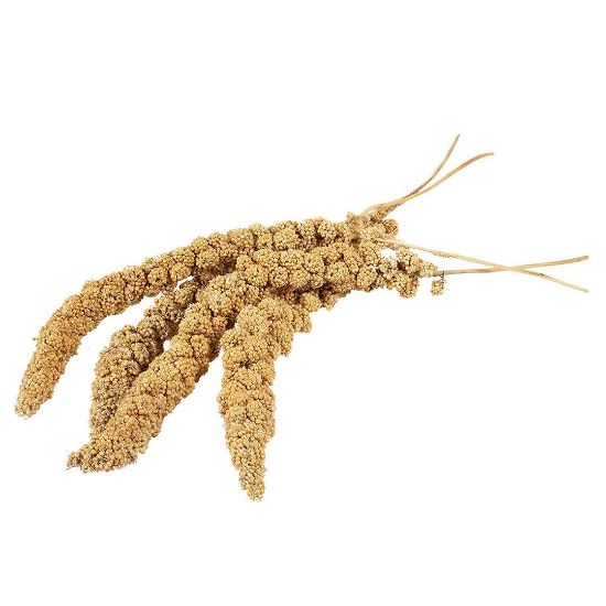 Witte Mollen Country - Натурална закуска за папагали и птици с просо, 150 гр.