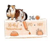 Witte Molen Puur - Пълноценна храна за морски свинчета с витамин C 700 гр. 3