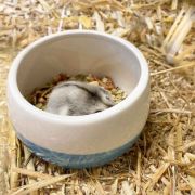 Duvo Plus Smurfs Harmony - Глинена купа за зайци и гризачи, 800 мл. 2