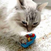 Duvo Plus Smurfs - Плюшена играчка за котки с катнип, 9Х2Х9 см. 3