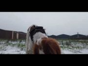 Duvo Plus Led Flash Ball - Силиконова светеща топка за кучета с USB зареждане 10 см. зелена 4