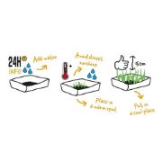 Duvo Cat grass kit - Комплект за отглеждане на здрава котешка трева, 70 гр. 3