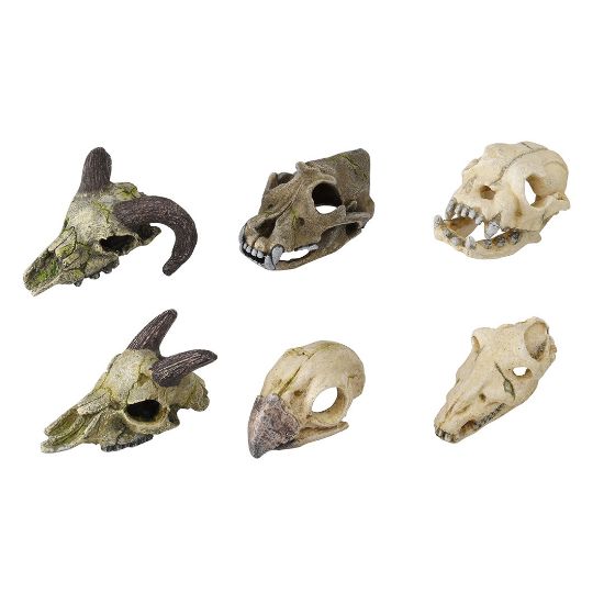 Duvo Plus Skull Mini Assorted - Декорация за аквариуми , скелети ,7-10 см.